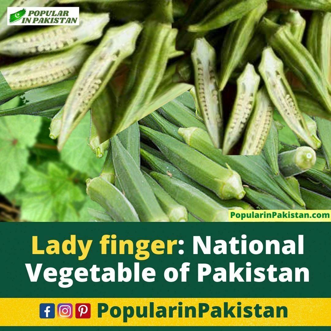 National-vegetable-of-Pakistan