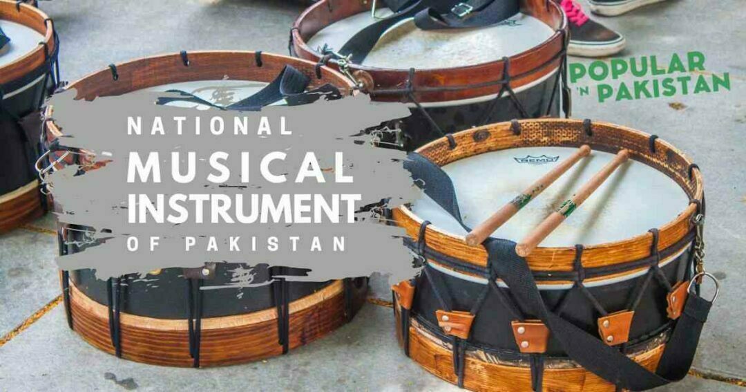 national-musical-instrument-of-pakistan